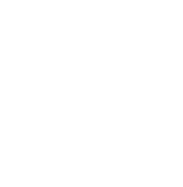 logo-white